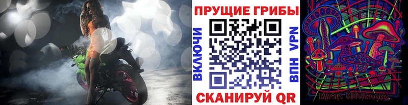 Псилоцибиновые грибы Cubensis  Казань 